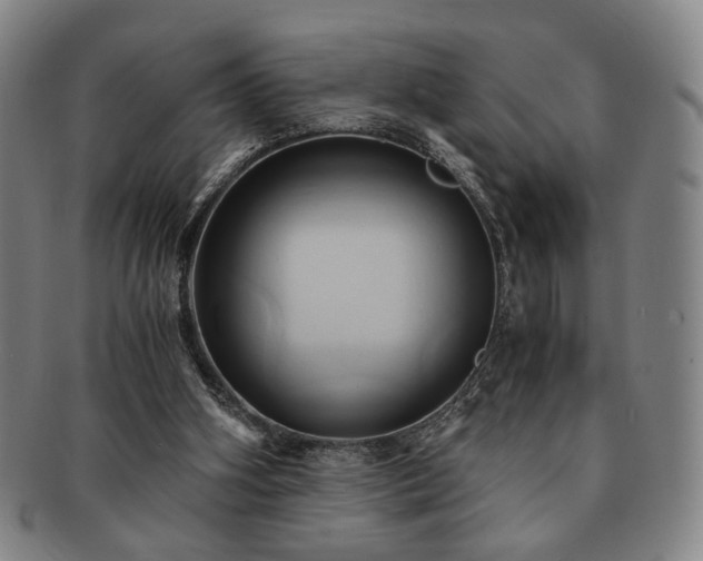 X0000091570106200708271207