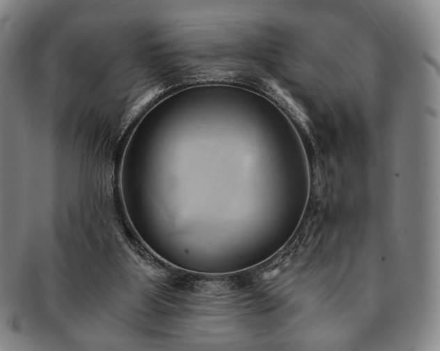 X0000091570107200708271207