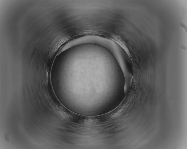X0000091570109200708271207
