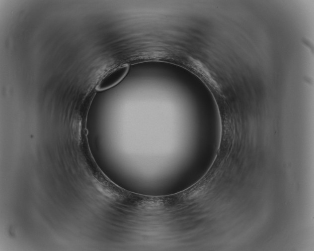 X0000091570110200708271207