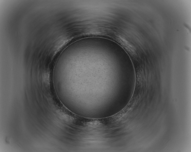 X0000091570112200708271207