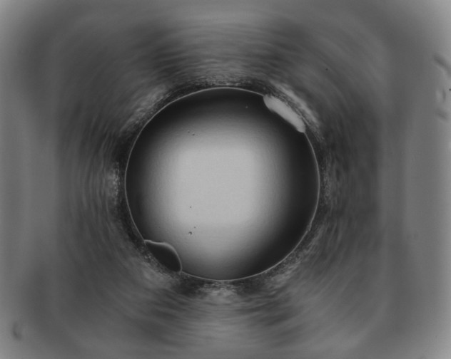 X0000091570113200708271207