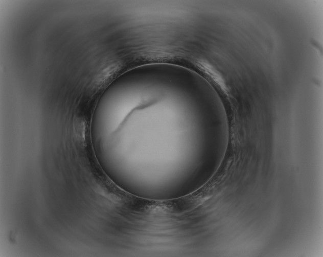 X0000091570115200708271207
