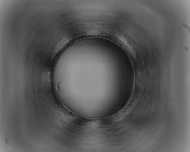 X0000091570116200708271207