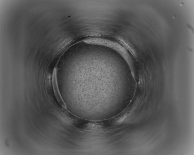 X0000091570117200708271207