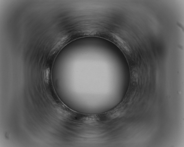 X0000091570118200708271207