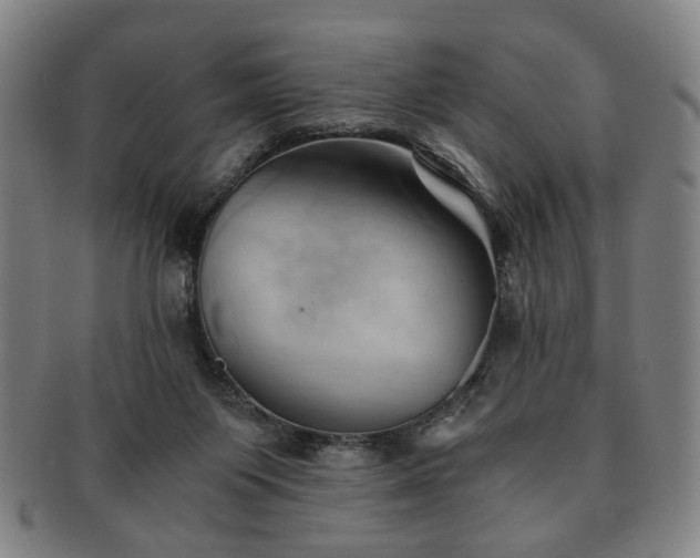 X0000091570119200708271207