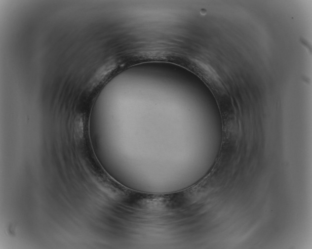 X0000091570120200708271207