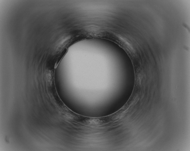 X0000091570121200708271207