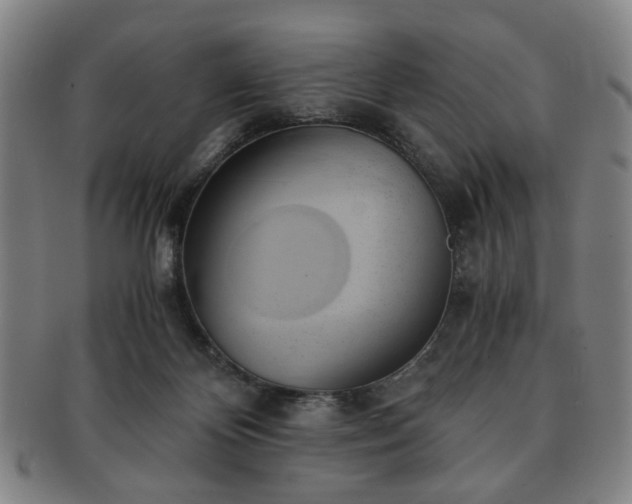 X0000091570124200708271207