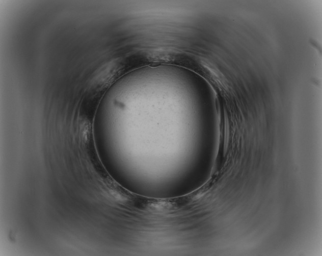 X0000091570125200708271207