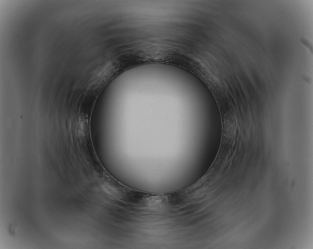 X0000091570126200708271207