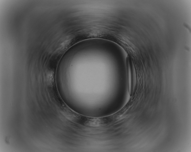 X0000091570127200708271207