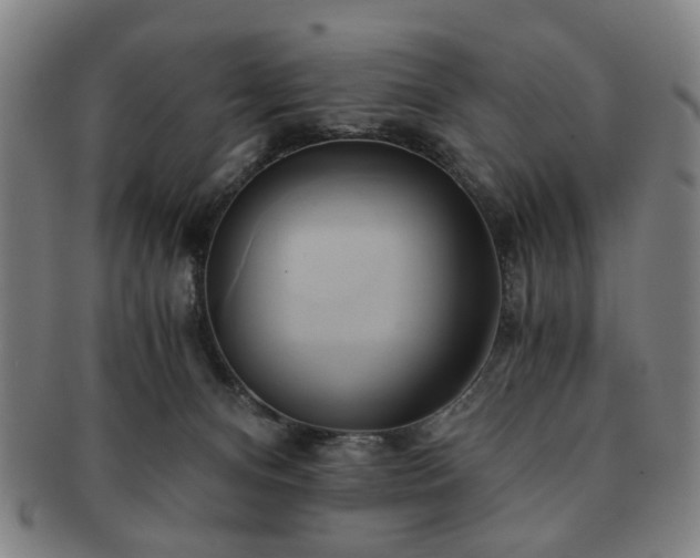 X0000091570128200708271207