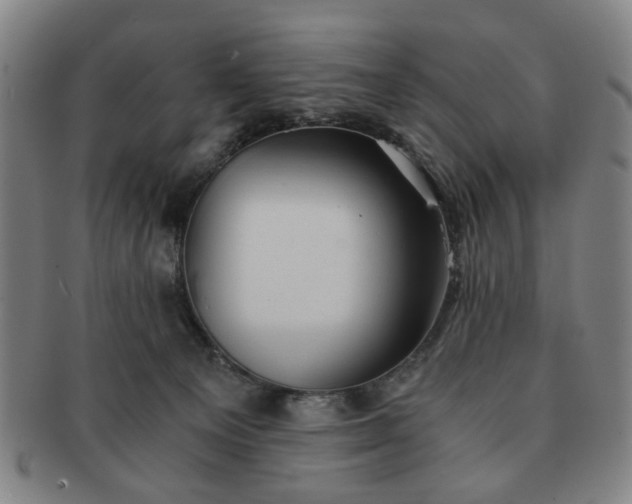 X0000091570129200708271207