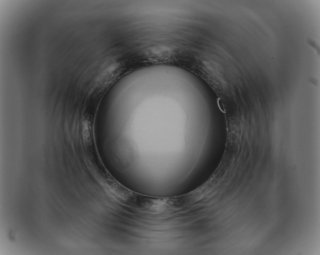 X0000091570130200708271207