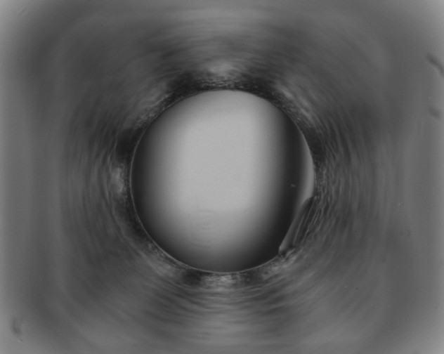 X0000091570131200708271207