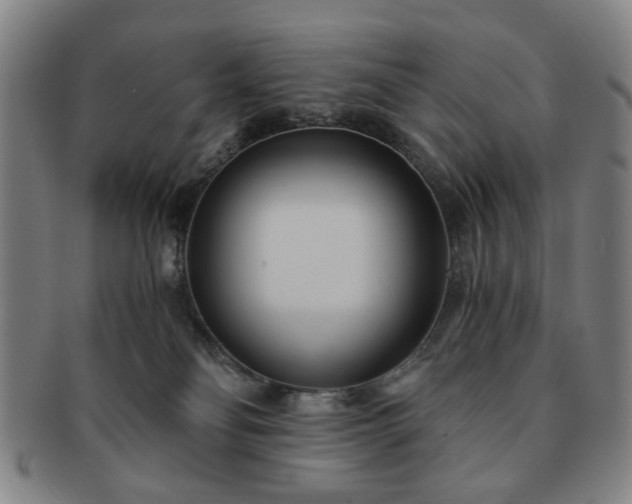 X0000091570134200708271207