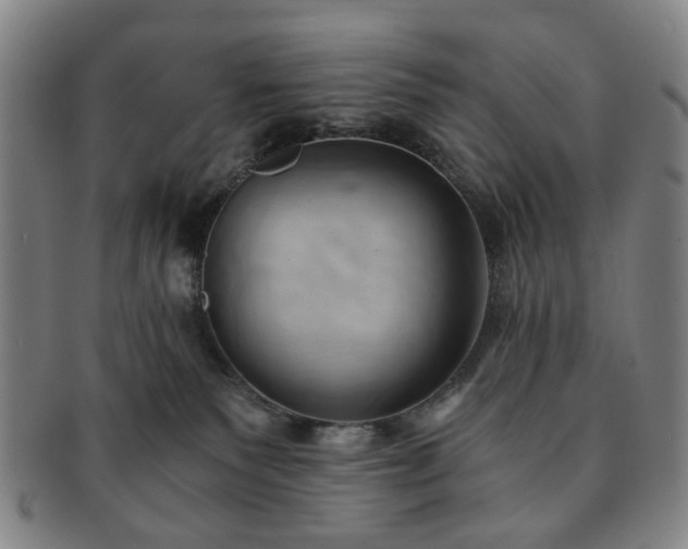 X0000091570135200708271207