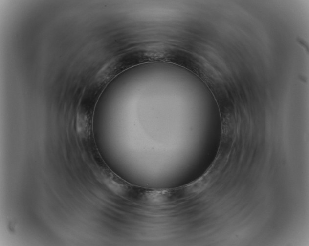 X0000091570136200708271207