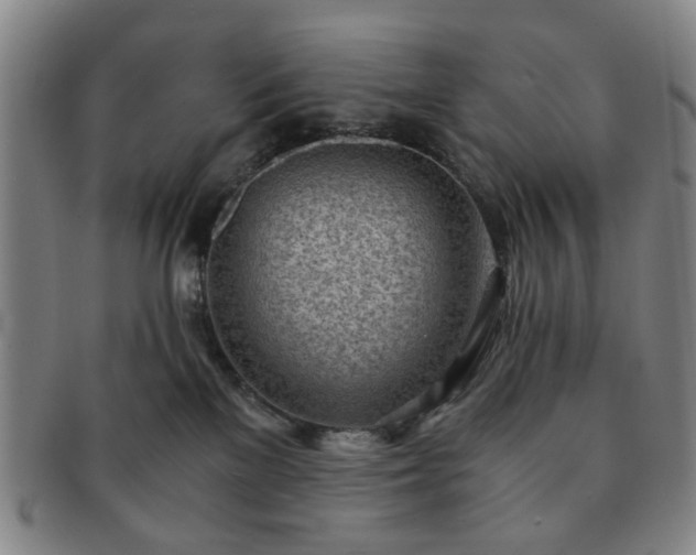 X0000091570137200708271207