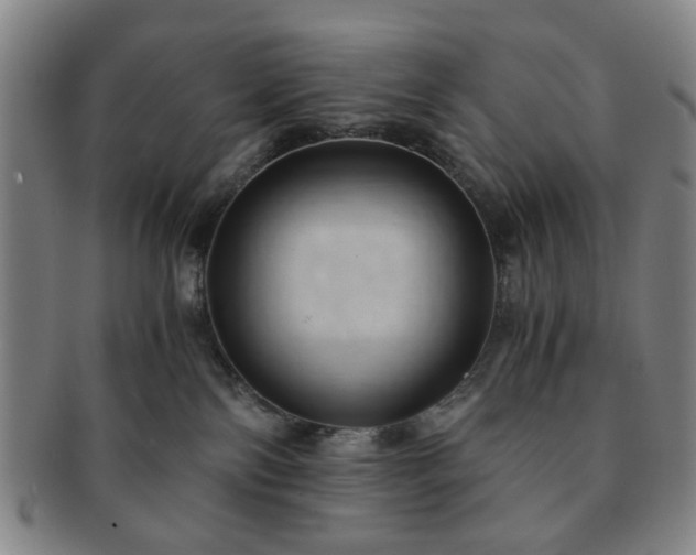 X0000091570138200708271207
