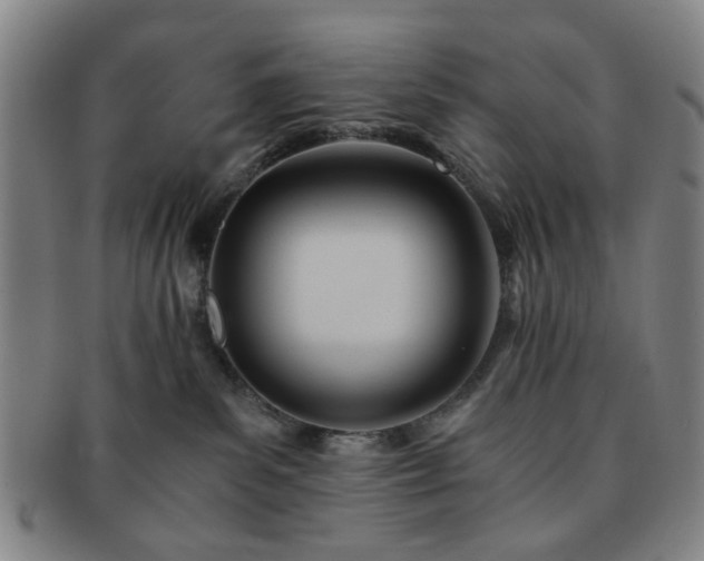 X0000091570139200708271207