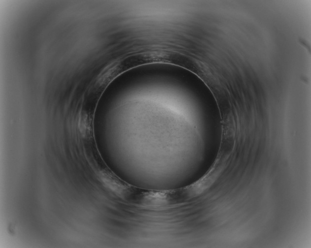 X0000091570140200708271207