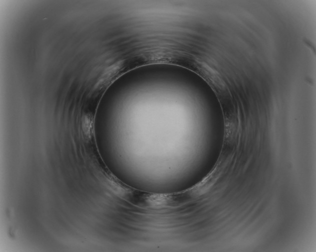 X0000091570142200708271207