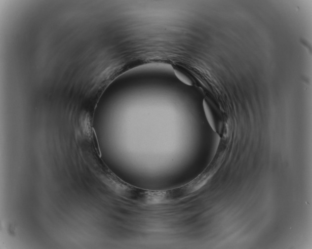 X0000091570143200708271207