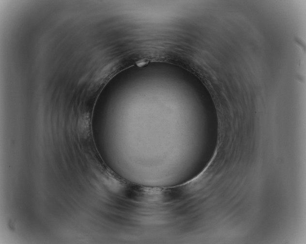 X0000091570144200708271207
