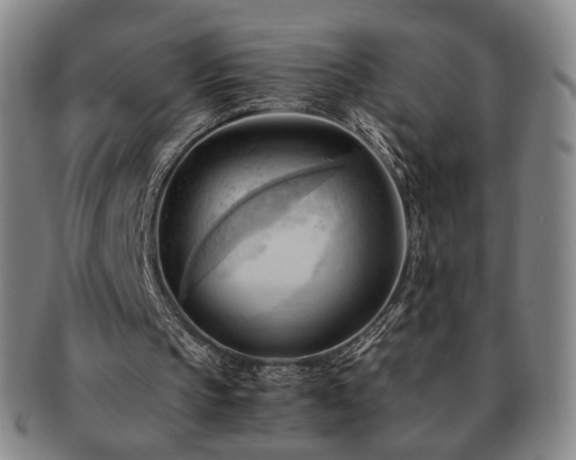 X0000091570145200708271206