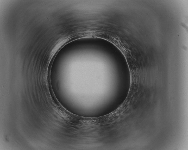 X0000091570147200708271206