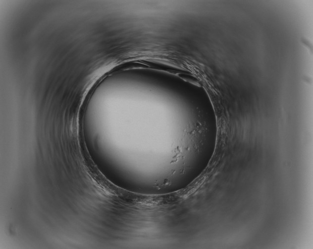 X0000091570148200708271206
