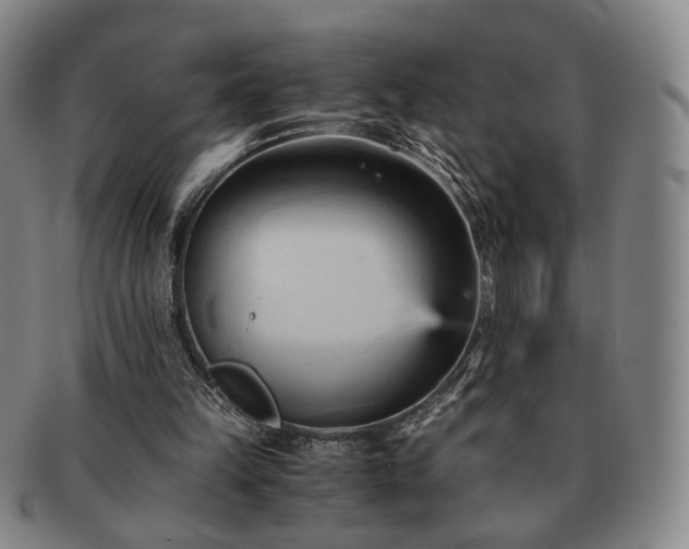 X0000091570149200708271206