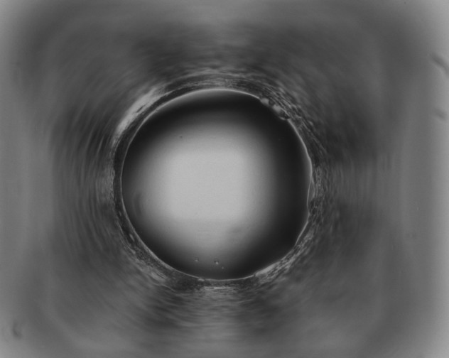 X0000091570150200708271206