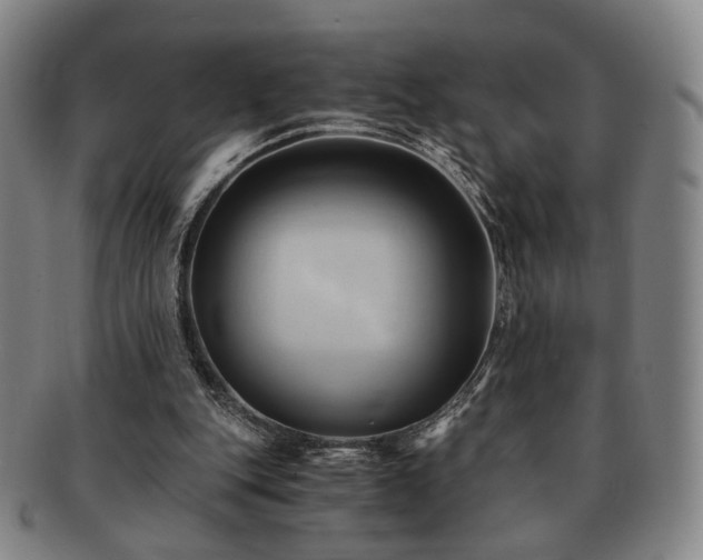 X0000091570151200708271206