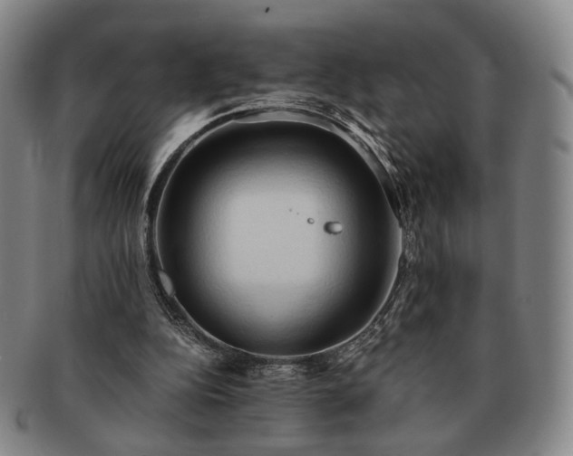 X0000091570152200708271206