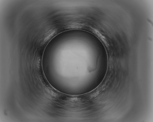 X0000091570153200708271206