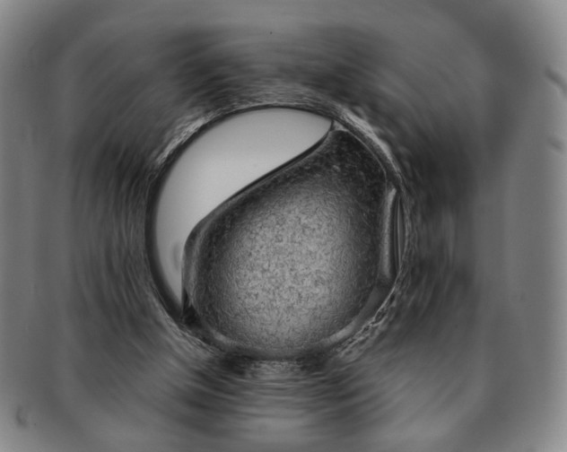X0000091570154200708271206