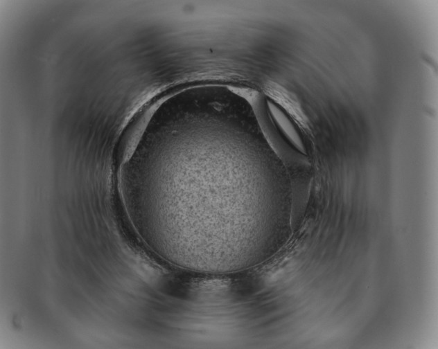 X0000091570156200708271206