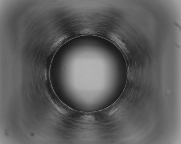 X0000091570157200708271206