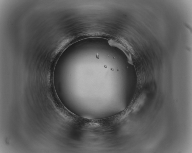 X0000091570159200708271206