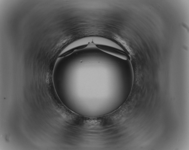 X0000091570161200708271206