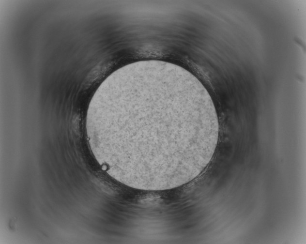 X0000091570162200708271206