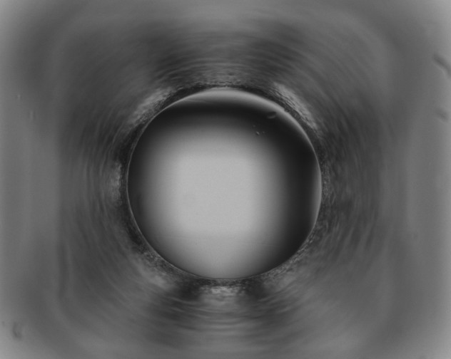 X0000091570163200708271206