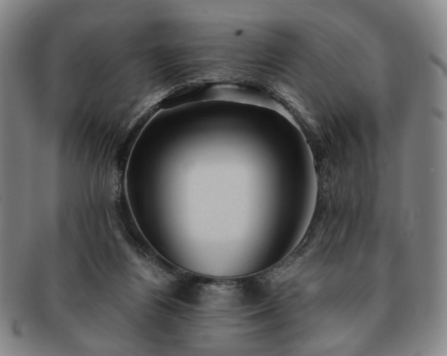 X0000091570164200708271206