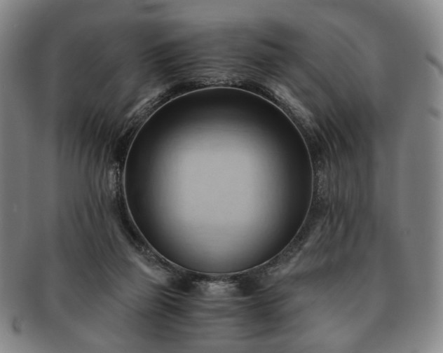 X0000091570165200708271206