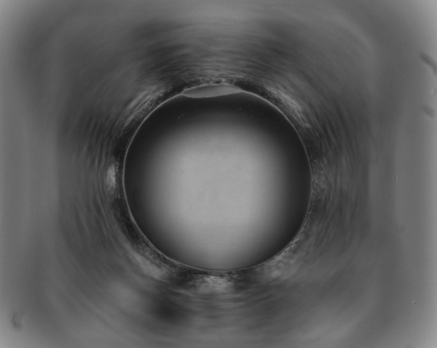 X0000091570166200708271206