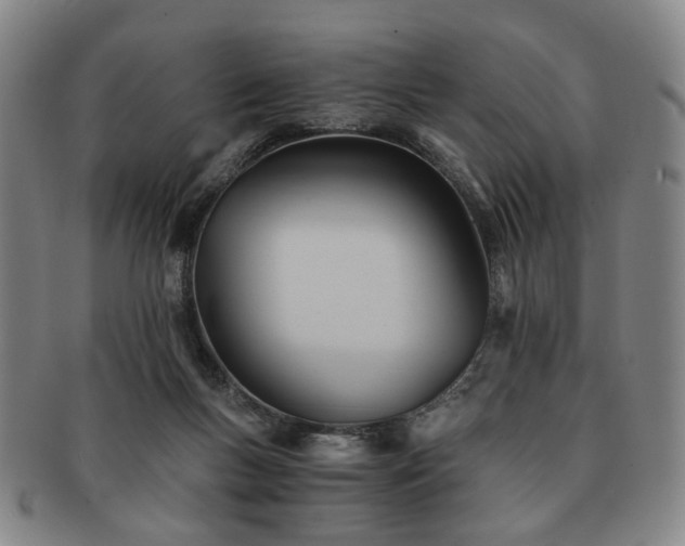X0000091570167200708271206